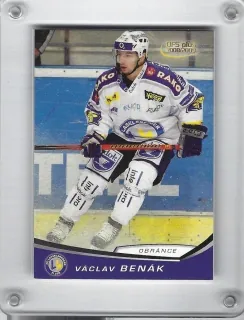 Benák Václav OFS 2008-09  č.317