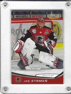 Strmeň  Jan  OFS 2008-09 12 č.337