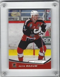 Rozum Petr OFS 2008-09 24 č.349