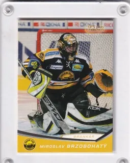 Brzobohatý Miroslav OFS 2008-09  č.380