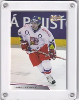 Veselý Ondřej OFS 2008-09 Reprezentace A č.A-15