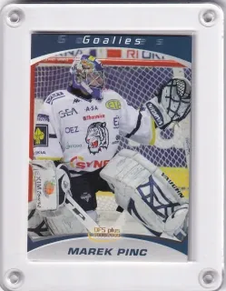 Pinc  Marek OFS 2008-09 Goalies č.Goalies08