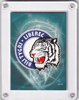Bílí Tygři Liberec  OFS 2008-09 Seznam karet č.S04