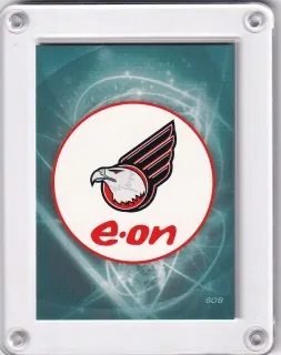 HC Znojemští Orli  OFS 2008-09 Seznam karet č.S09