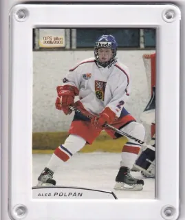 Pulpán  Aleš OFS 2008-09 U17 č.U17-01