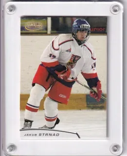 Strnad Jakub OFS 2008-09 U17 č.U17-08