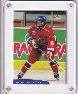 Havlíček Ondřej OFS 2008-09 U18 č.U18-19