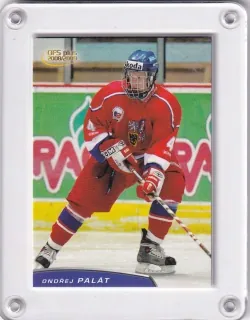 Palát Ondřej OFS 2008-09 U18 č.U18-20