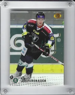 Ferebauer Jiří OFS 2009-10  č.115