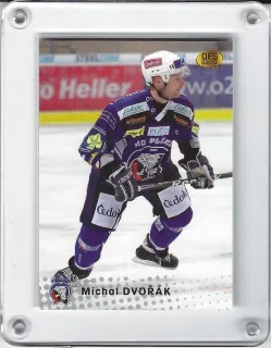 Dvořák Michal OFS 2009-10  č.145