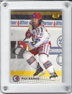 Kanko Petr OFS 2009-10  č.306