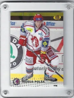 Polák Vojtěch OFS 2009-10  č.312