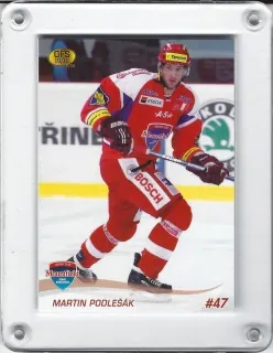 Podlešák Martin OFS 2010-11  č.10