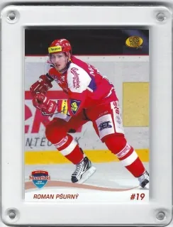 Pšurný Roman OFS 2010-11  č.16