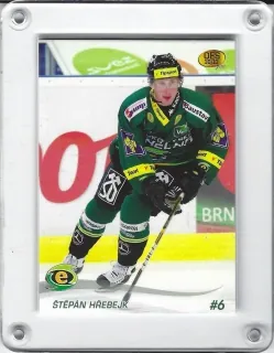 Hřebejk Štěpán OFS 2010-11  č.42