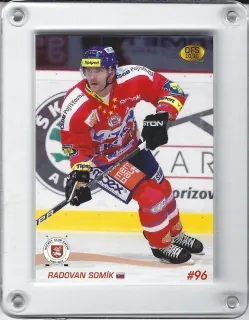 Somík Radovan OFS 2010-11  č.81