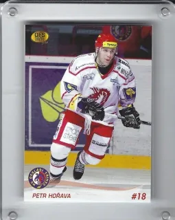 Hořava Petr OFS 2010-11  č.109