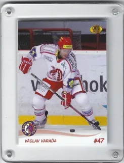 Varaďa Václav OFS 2010-11  č.113