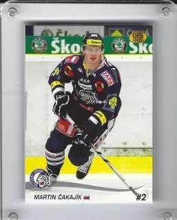 Čakajík Martin OFS 2010-11  č.131