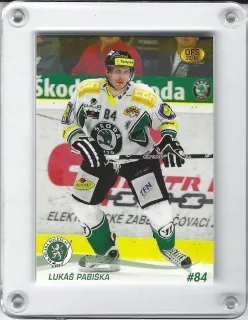 Pabiška Lukáš OFS 2010-11  č.195