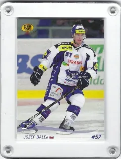 Balej Jozef OFS 2010-11  č.213