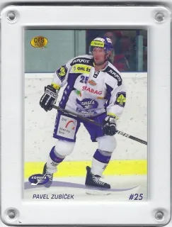 Zubíček Pavel OFS 2010-11  č.219