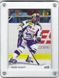 Dlouhý Radek OFS 2010-11  č.221