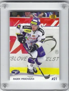 Procházka Radek OFS 2010-11  č.222