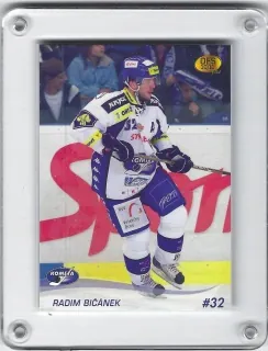 Bičánek Radim OFS 2010-11  č.223