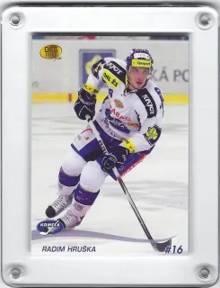 Hruška Radim OFS 2010-11  č.224