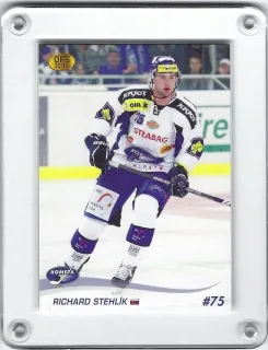 Stehlík Richard OFS 2010-11  č.225