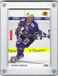 Heřman Martin OFS 2010-11  č.241