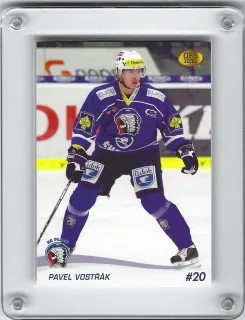 Vostřák Pavel OFS 2010-11  č.247