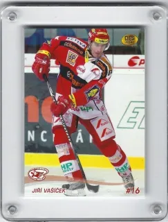Vašíček Jiří OFS 2010-11  č.283