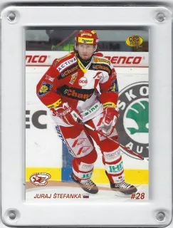 Štefanka Juraj OFS 2010-11  č.284