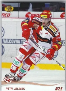 Jelínek Petr OFS 2010-11 č.293