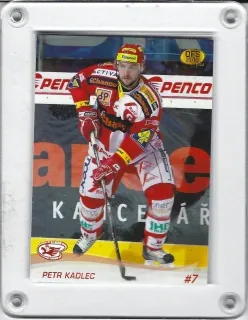 Kadlec Petr OFS 2010-11 č.294