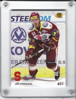 Vykoukal Jiří OFS 2010-11 č.307