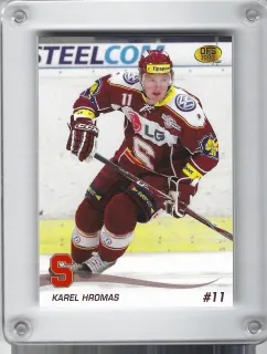 Hromas Karel OFS 2010-11 č.308
