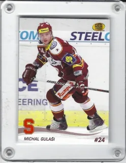 Gulaši Michal OFS 2010-11 č.311