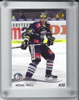 Pavlů Michal OFS 2010-11 č.348