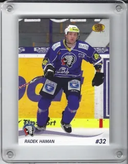 Haman Radek OFS 2010-11 č.371