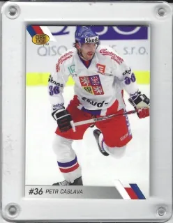 Čáslava Petr OFS 2010-11 ČR Reprezentace č.CZE-28