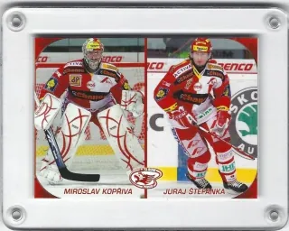 Kopřiva/Štefanka Miroslav/Juraj OFS 2010-11 Klubová karta č.K13
