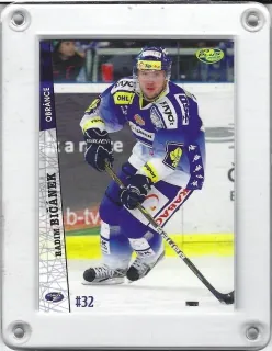 Bičánek Radim OFS 2011-12  č.17