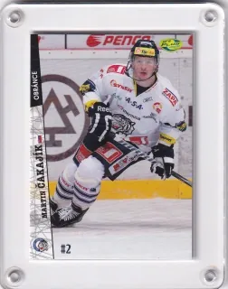 Čakajík Martin OFS 2011-12  č.82
