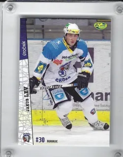 Lev Jakub OFS 2011-12  č.143