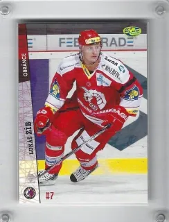 Zíb Lukáš OFS 2011-12  č.221