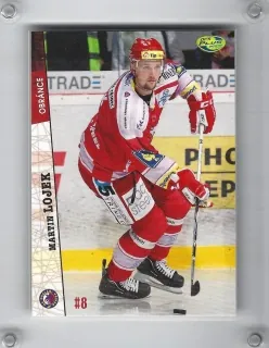 Lojek Martin OFS 2011-12  č.224
