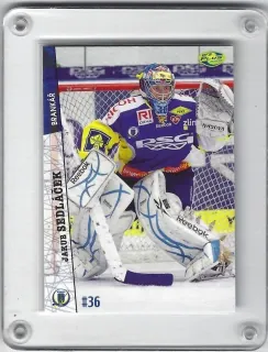 Sedláček Jakub OFS 2011-12  č.313